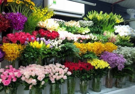 Top 5 shop hoa tươi Đà Lạt đẹp và nổi tiếng nhất